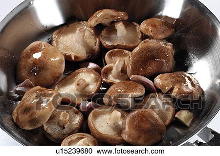 Stock Image - Mushrooms. Fotosearch