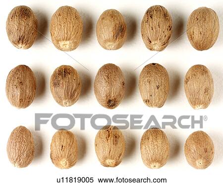 Nutmeg View Large Photo Image Stock Photography - Nutmeg. Fotosearch