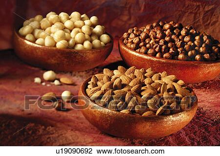 Nuts MacAdamia Hazel &Amp; Almond - Non Exclusive View Large Photo Image Stock Image - Nuts MacAdamia Hazel &Amp; Almond - Non Exclusive. Fotosearch