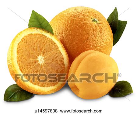 Stock Photo - Oranges and apricot. Fotosearch