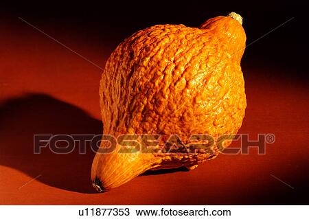 Stock Image - Organic pumpkin. Fotosearch