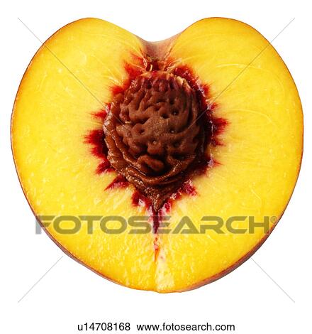 Peach Half View Large Photo Image Stock Photo - Peach Half. Fotosearch