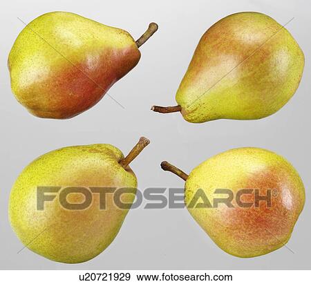Stock Photo - Pears - Non Exclusive. Fotosearch