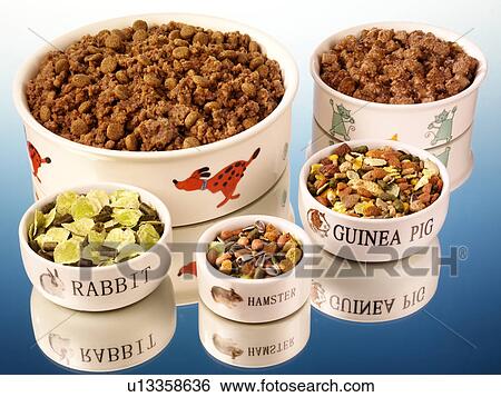 Pet Foods - Non Exclusive View Large Photo Image Stock Photograph - Pet Foods - Non Exclusive. Fotosearch