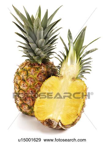 Pineapples View Large Photo Image Stock Photo - Pineapples. Fotosearch