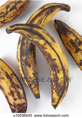 Stock Image - Plantain - Non Exclusive. Fotosearch