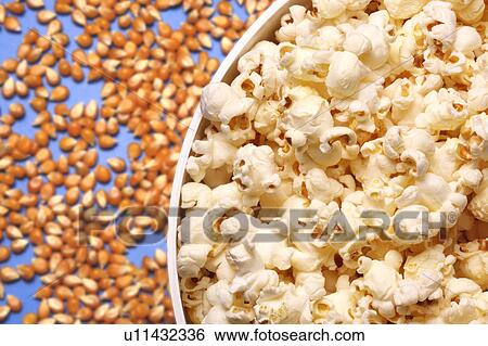 Popcorn and kernels View Large Photo Image Stock Photograph - Popcorn and kernels. Fotosearch