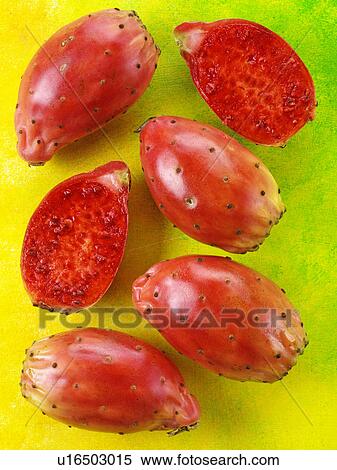 Stock Photography - Prickly Pear / Cactus Pear. Fotosearch