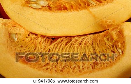 Pumpkin View Large Photo Image Stock Photography - Pumpkin. Fotosearch