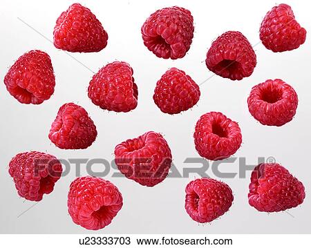 Raspberries - Non Exclusive View Large Photo Image Stock Image - Raspberries - Non Exclusive. Fotosearch