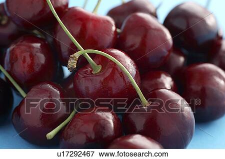 Stock Photo - red cherries. Fotosearch