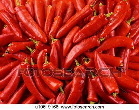 Stock Photograph - Red Chillis - Non Exclusive. Fotosearch