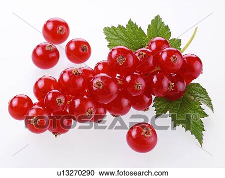 Stock Image - Redcurrants. Fotosearch