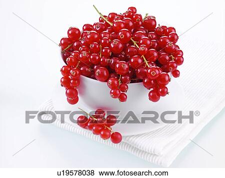 Stock Photo - Redcurrants. Fotosearch