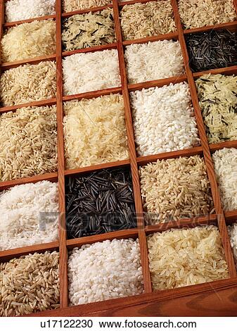 Stock Image - Rice - Non Exclusive. Fotosearch