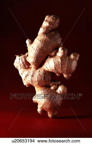 Root ginger on a brown background View Large Photo Image Picture - Root ginger on a brown background. Fotosearch