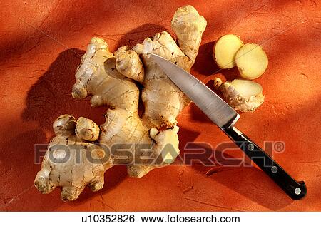 Root ginger on orange View Large Photo Image Stock Photograph - Root ginger on orange. Fotosearch