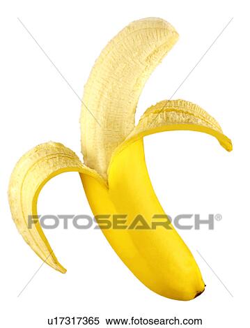 Single Banana - Non Exclusive View Large Photo Image Stock Photography - Single Banana - Non Exclusive. Fotosearch