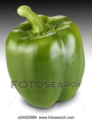 Stock Photo - Single green pepper. Fotosearch