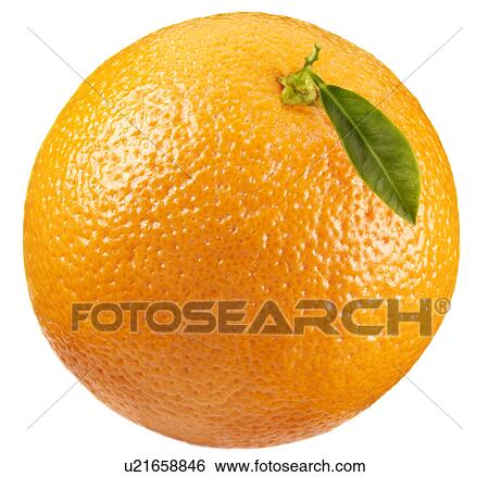 Stock Photograph - Single Orange - Non Exclusive. Fotosearch