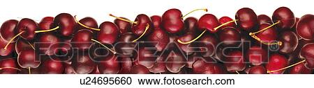 Strip Of Cherries - Non Exclusive View Large Photo Image Stock Image - Strip Of Cherries - Non Exclusive. Fotosearch