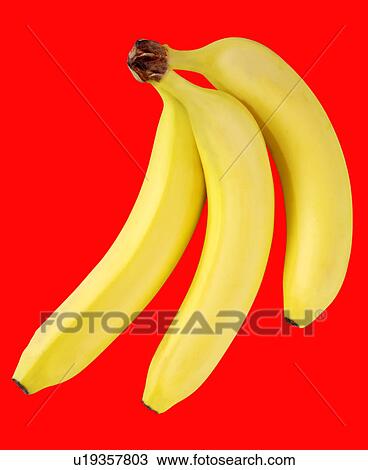 Three Bananas on Red - Non Exclusive View Large Photo Image Stock Image - Three Bananas on Red - Non Exclusive. Fotosearch