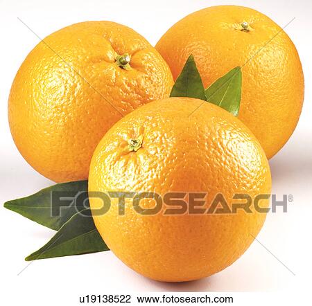 Three Orange And Leaves - Non Exclusive View Large Photo Image Stock Image - Three Orange And Leaves - Non Exclusive. Fotosearch