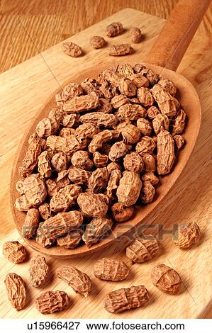 Stock Photo - Tiger Nuts. Fotosearch
