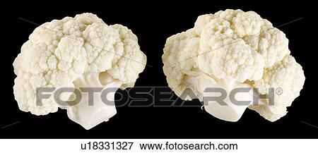 Two cauliflower florets on black View Large Photo Image Stock Photo - Two cauliflower florets on black. Fotosearch