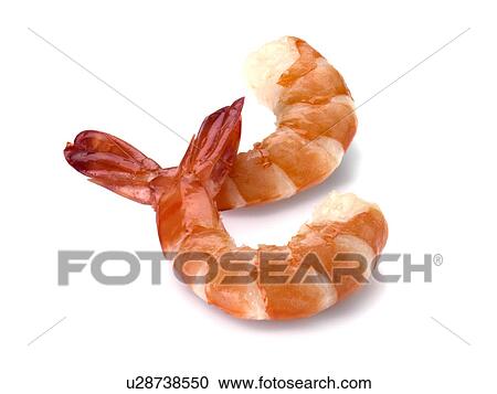 Two King Prawns on White - Non Exclusive View Large Photo Image Stock Image - Two King Prawns on White - Non Exclusive. Fotosearch