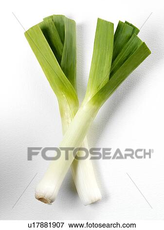 Two Leeks on White - Non Exclusive View Large Photo Image Stock Photo - Two Leeks on White - Non Exclusive. Fotosearch