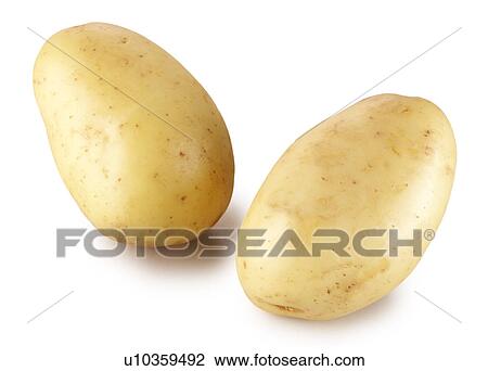 Stock Image - Two potatoes. Fotosearch