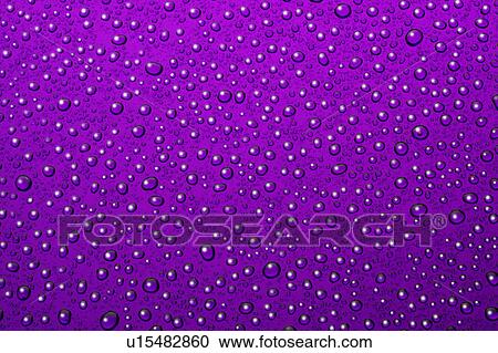Water drops on purple View Large Photo Image Stock Image - Water drops on purple. Fotosearch