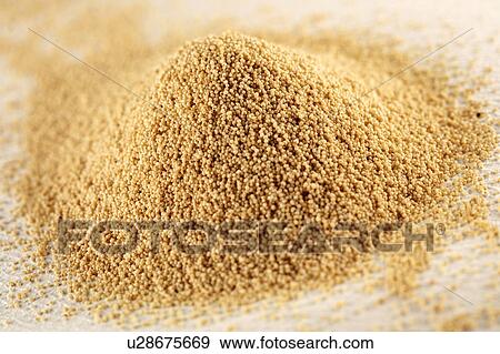 Stock Photo - White poppy seeds. Fotosearch