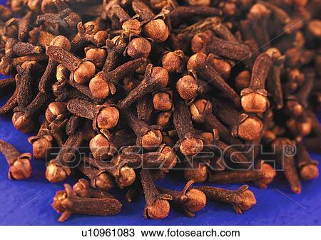 Whole Cloves - Non Exclusive View Large Photo Image Stock Image - Whole Cloves - Non Exclusive. Fotosearch