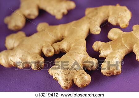 Whole Root Ginger - Non Exclusive View Large Photo Image Stock Image - Whole Root Ginger - Non Exclusive. Fotosearch
