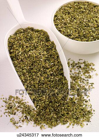 Stock Photo - Wild Oregano in Scoop - Non Exclusive. Fotosearch