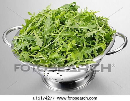 Stock Photo - Wild Rocket Leaves In Colander. Fotosearch