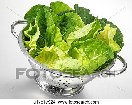 Picture - Winter Greens In Colander. Fotosearch