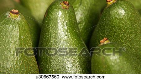 Stock Image - A row of Ripe Avocados. Fotosearch
