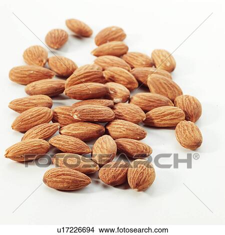 Picture - Almonds. Fotosearch