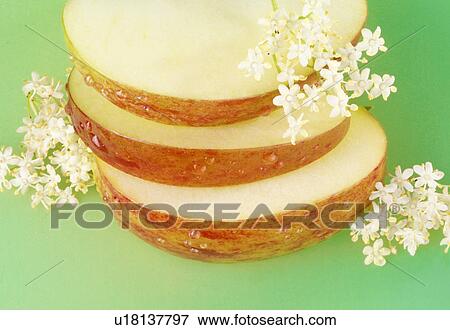Stock Photo - Apple Slices And Elderflower. Fotosearch