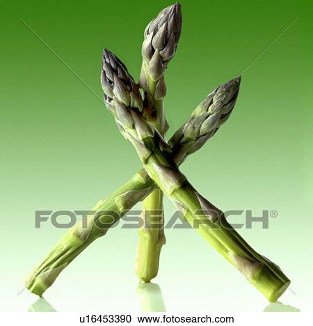 Asparagus on green View Large Photo Image Stock Image - Asparagus on green. Fotosearch