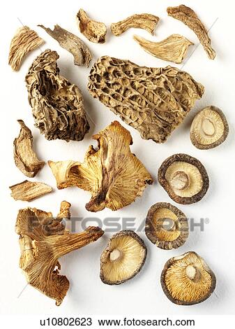 Stock Image - Assorted Dried Mushrooms - Non Exclusive. Fotosearch