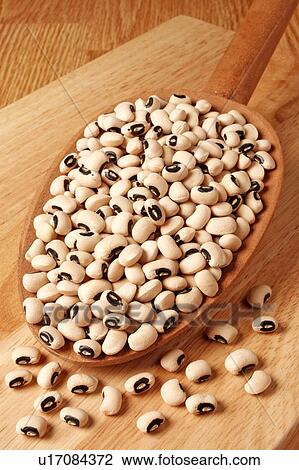 Stock Image - Black Eyed Bean Pea. Fotosearch