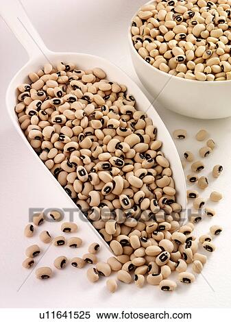 Black Eyed Beans in Scoop - Non Exclusive View Large Photo Image Stock Photography - Black Eyed Beans in Scoop - Non Exclusive. Fotosearch