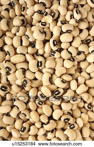 Picture - Black eyed beans. Fotosearch