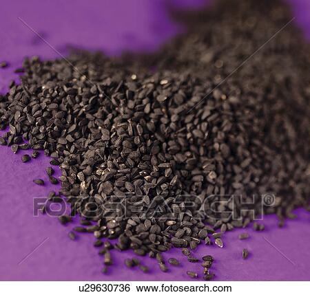 Black Onion Seeds - Non Exclusive View Large Photo Image Stock Photograph - Black Onion Seeds - Non Exclusive. Fotosearch