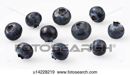 Stock Photo - Blueberries - Non Exclusive. Fotosearch