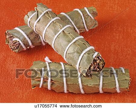 Picture - Bouquet Garni - Non Exclusive. Fotosearch